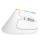Myszka bezprzewodowa Delux Mysz Pionowa M618C RGB (Biała)